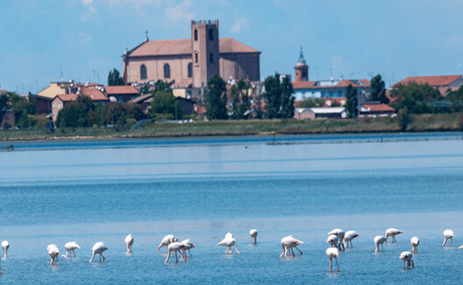 Veneto Po Delta and Wetlands