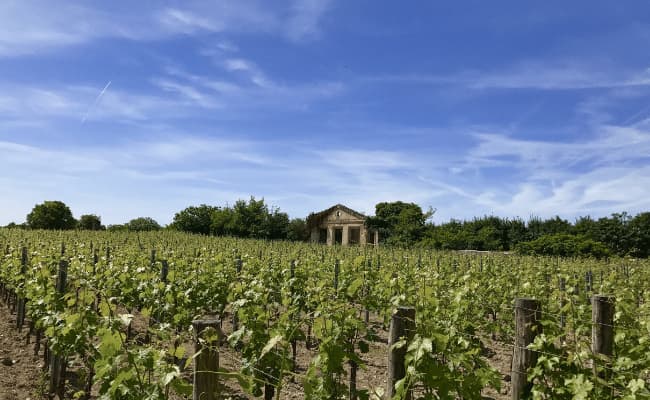 Bordeaux City & Vineyards cycling holiday