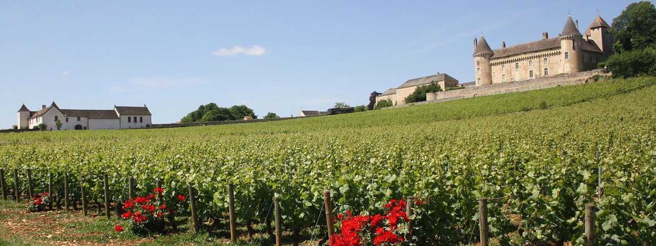 The Burgundy Wine Region
