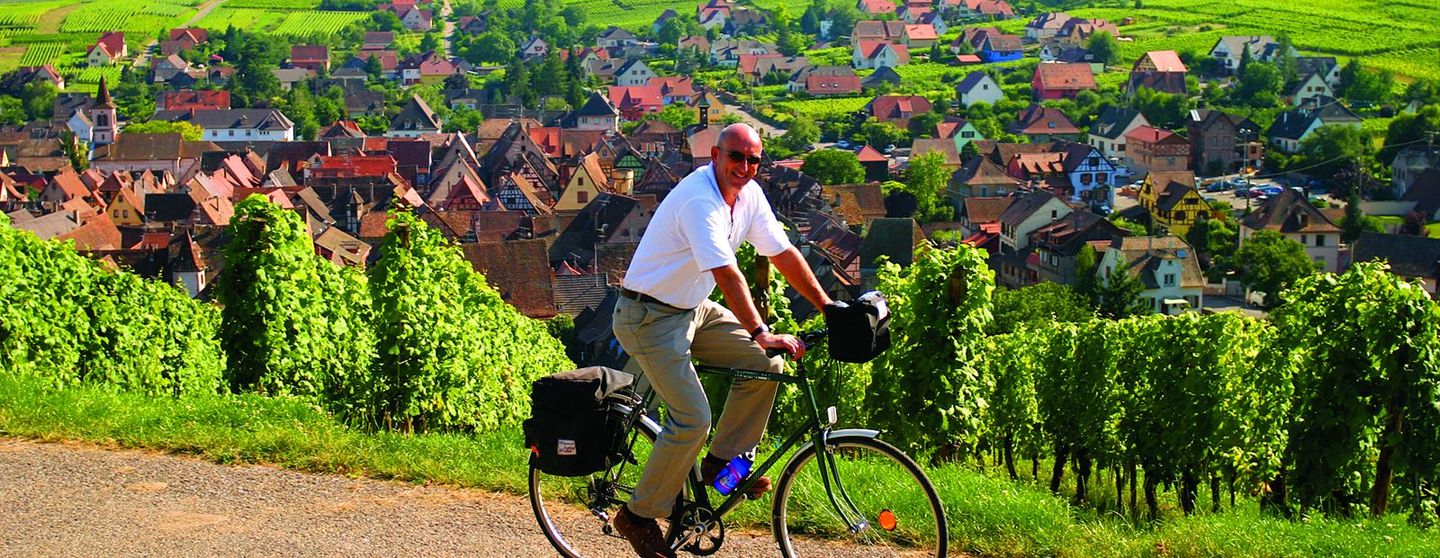 Best Local Wines in Alsace