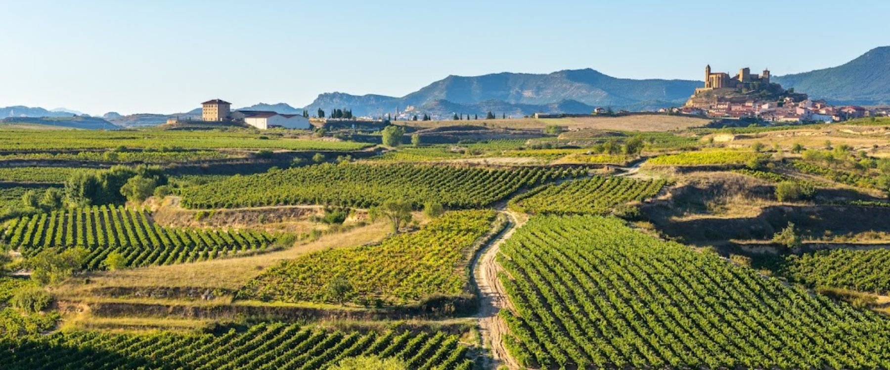 La Rioja Landscape