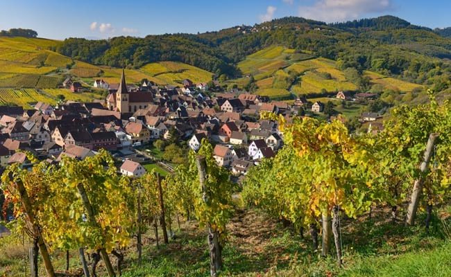 Favourite Wines on the Alsace Trail: Crémant d'Alsace