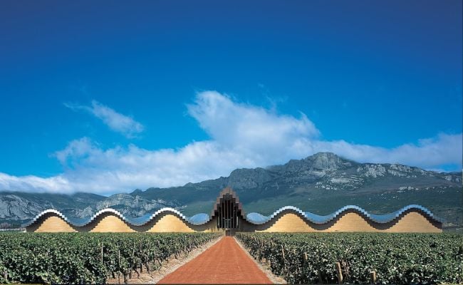 Rioja Vineyards