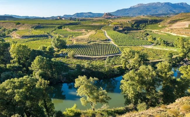 La Rioja Vineyards