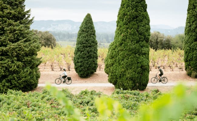 Côtes du Rhône Vineyards cycling holiday