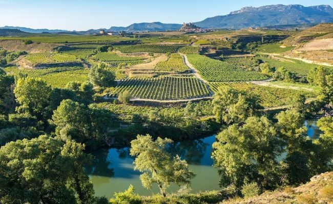 Vineyards of La Rioja