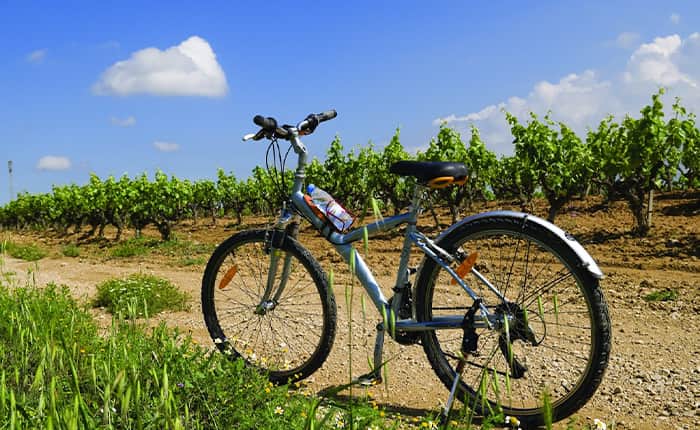Tuscany Cycling Holidays Chianti Vineyards