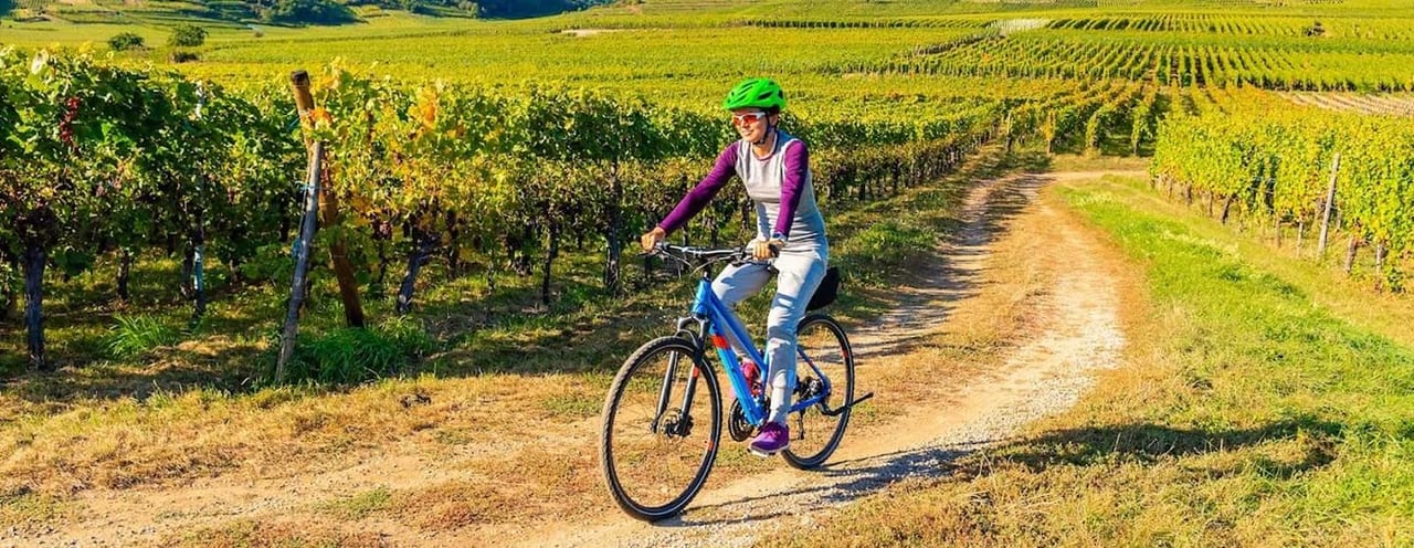 Best Cycling Holidays for Singles