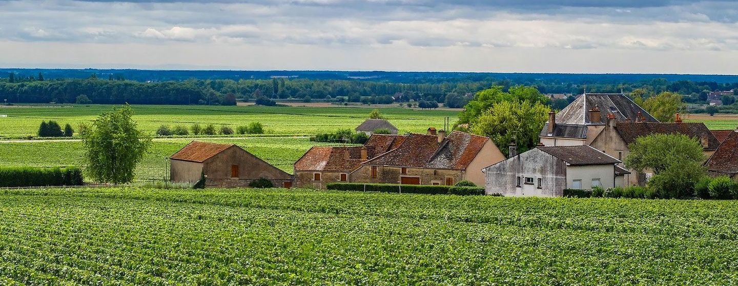 Top 5 Places To Visit In Burgundy