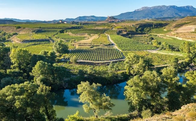 La Rioja Landscape