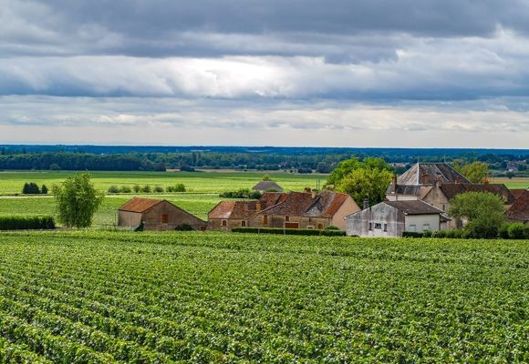 Puligny Montrachet on a Burgundy cycling holiday