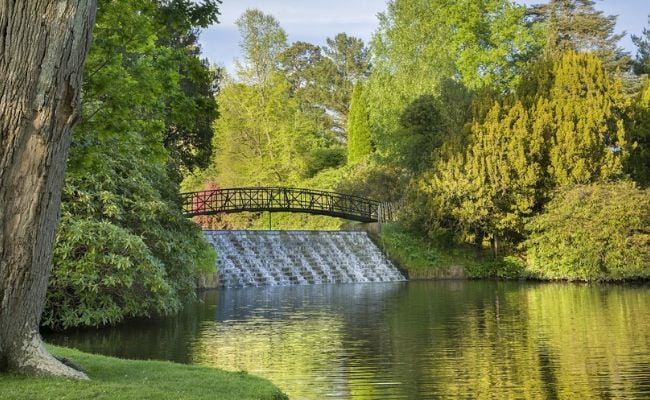 Sheffield Park and Garden