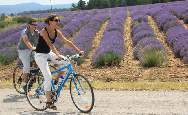 Pedal through history: Provence