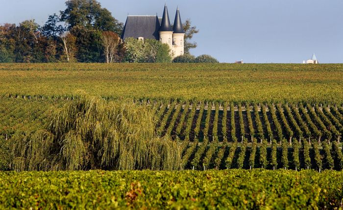 Wine Tours in Bordeaux