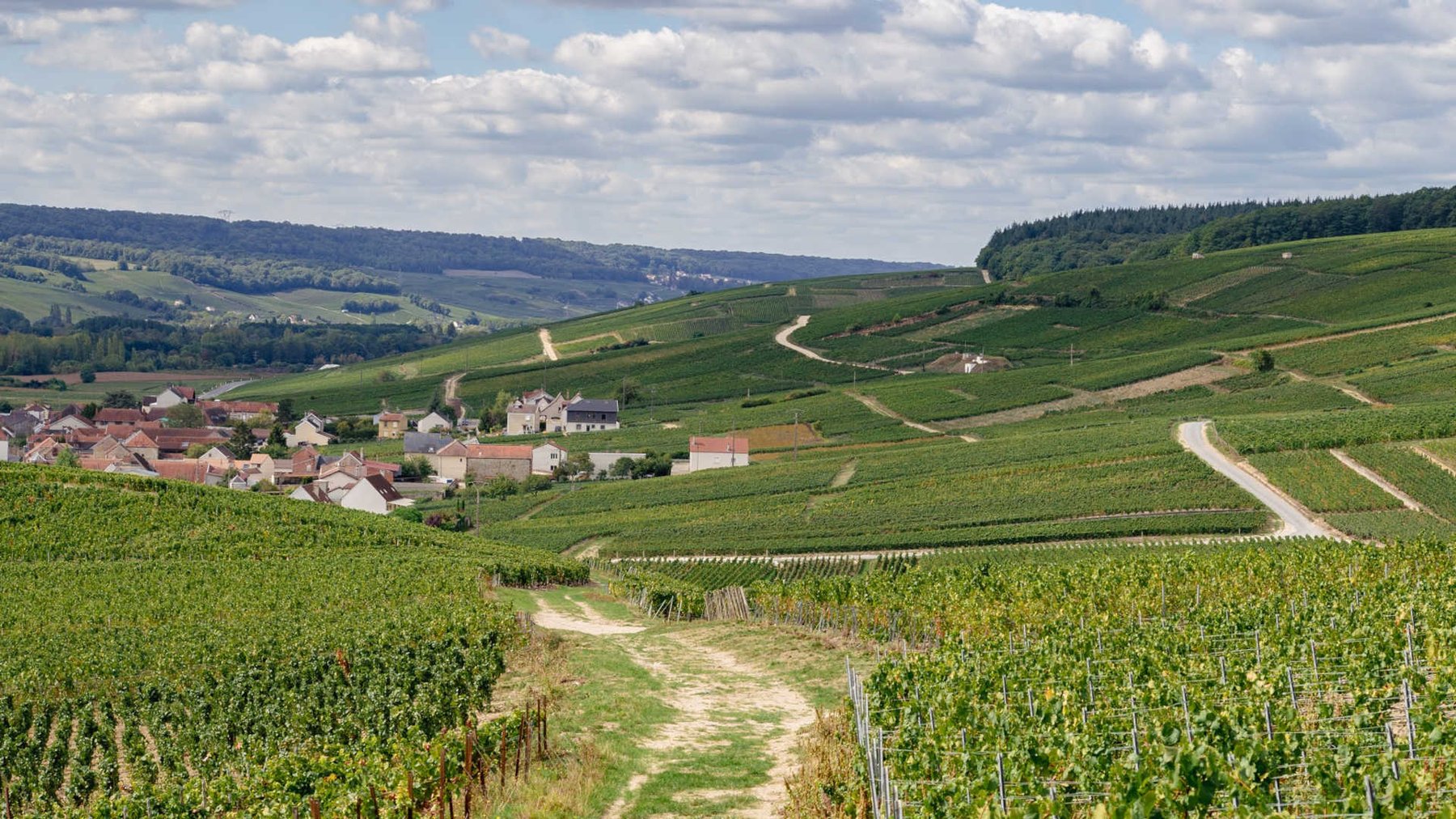 Champagne Cycling Destination Guide
