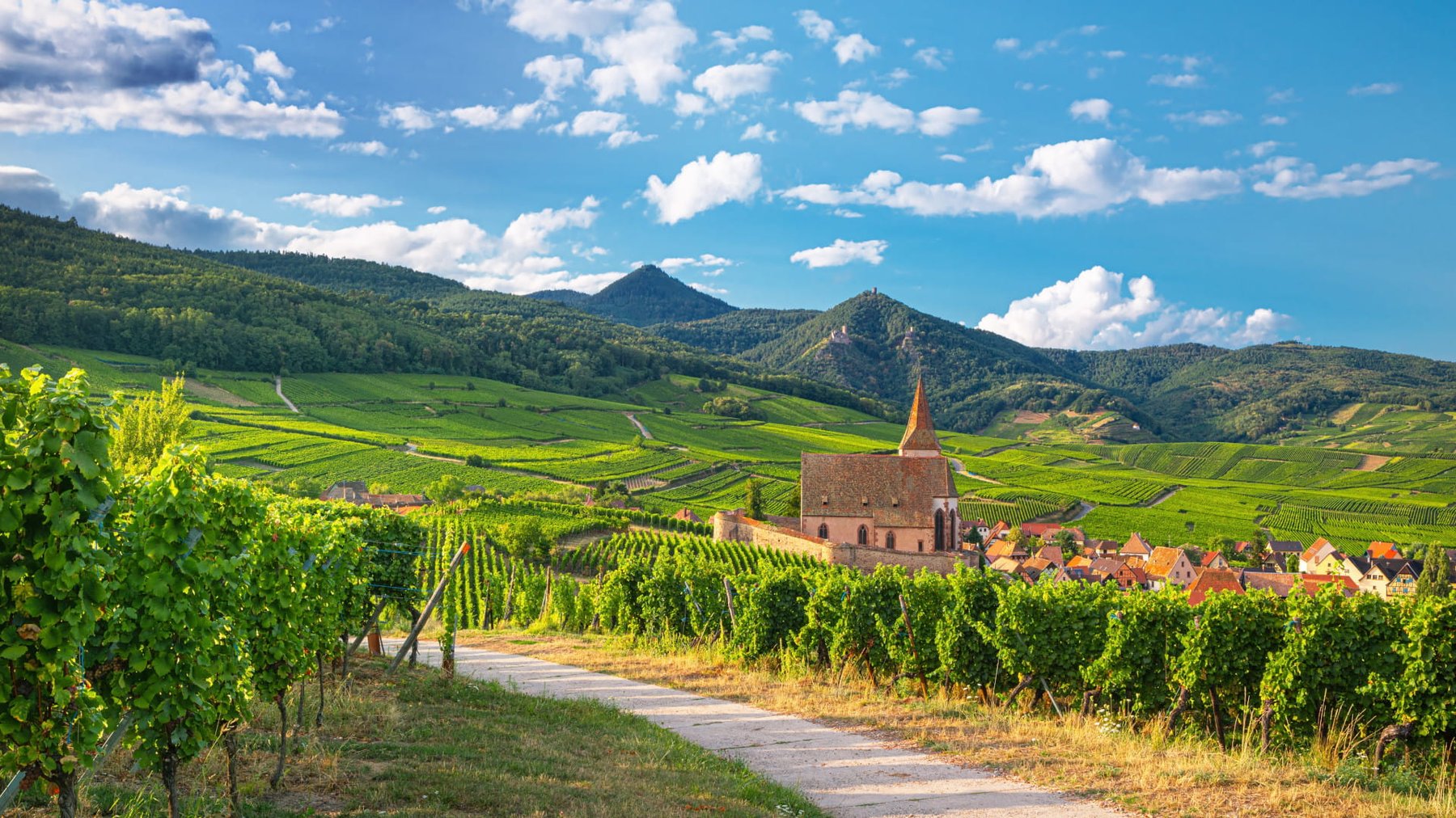 Alsace Cycling Holidays