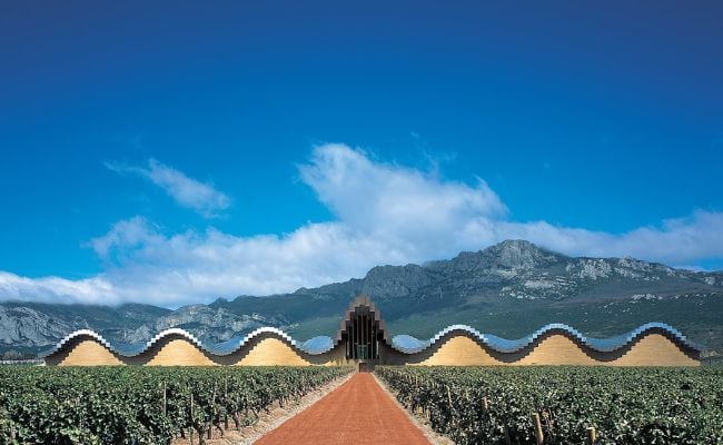 Marqués de Riscal Vineyard