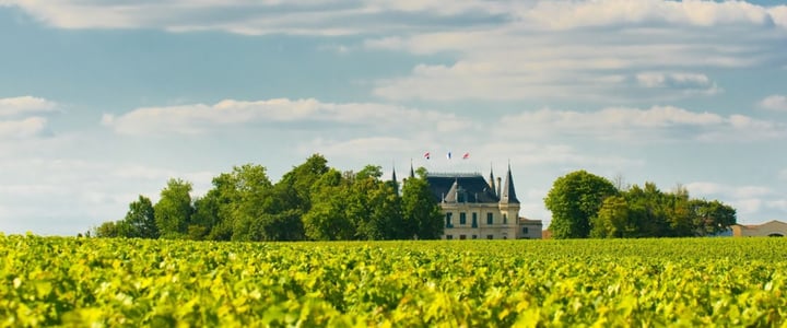 Vineyards of Bordeaux