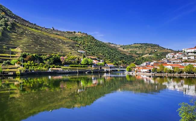 Vineyards of the Douro Valley