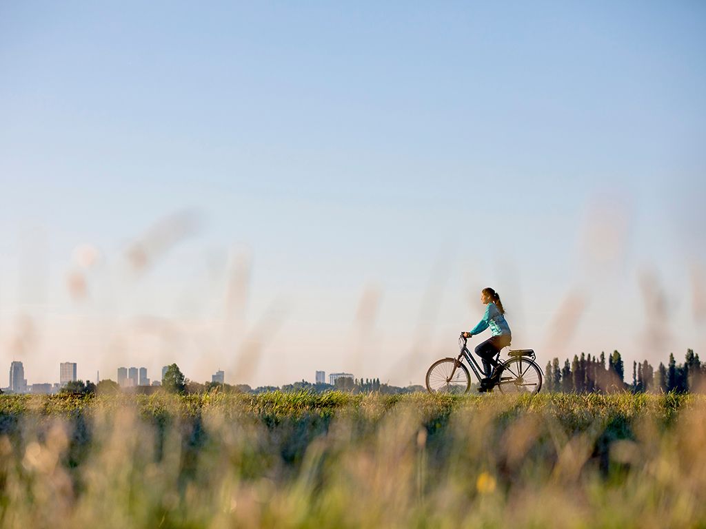 Benefits of Electric Bikes: Enjoy the scenery