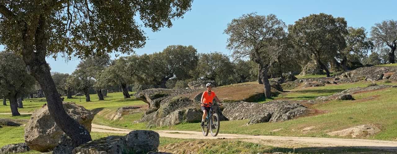 Top 10 E-Bike Tours