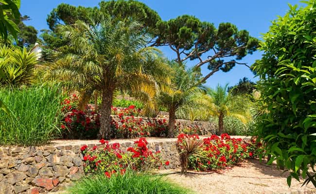 Catalonian Botanical Gardens