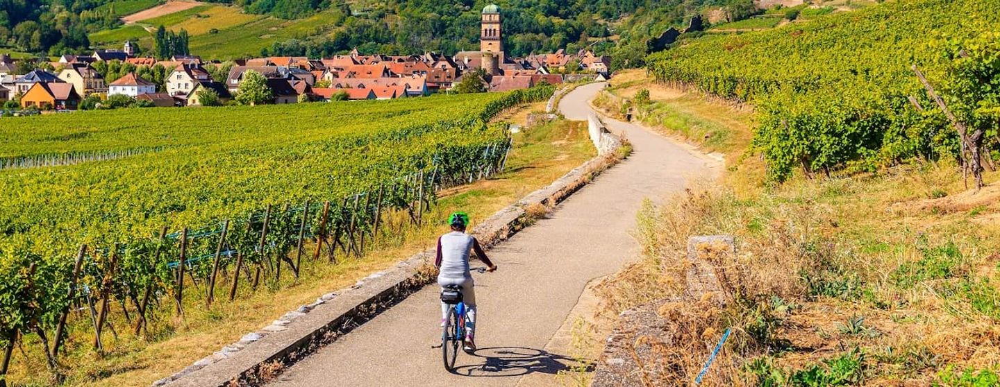 Alsace Cycling Routes