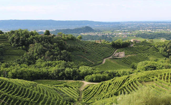 Veneto Prosecco Hills