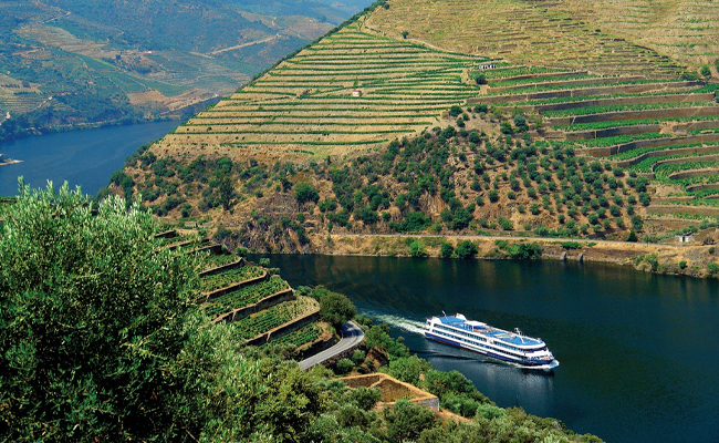 Douro Valley 