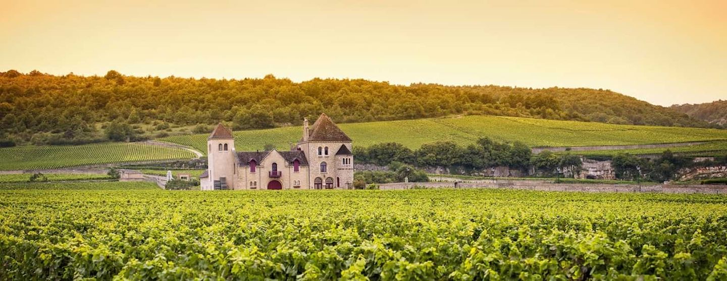 Best Restaurants in Burgundy