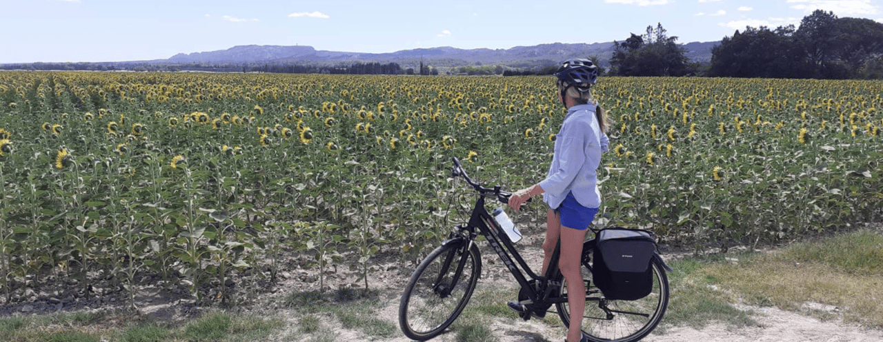 Provence Cycling Holiday