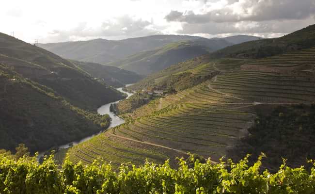 Douro Valley Cycling Holidays