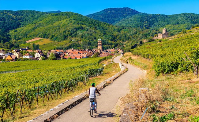 Favourite Wines on the Alsace Trail: Gewürztraminer