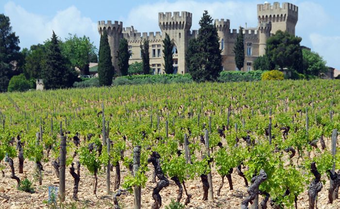 Côtes du Rhône wine region: Vineyards